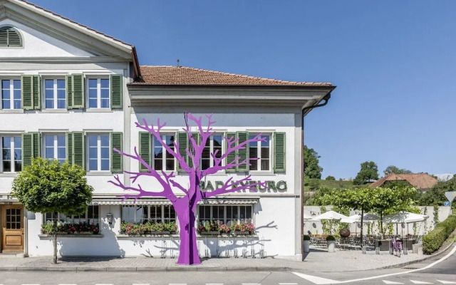 Hotel Bad Kyburg