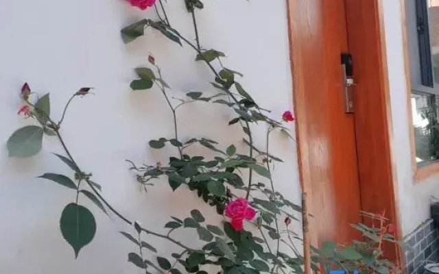 Ting Yutang Homestay