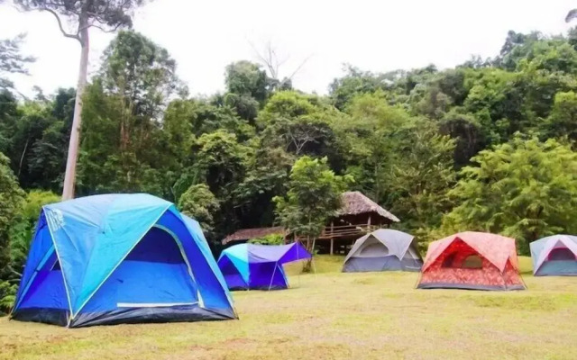 Tad Placamp Healing Retreat