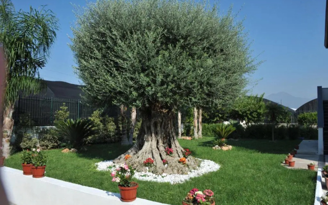 Cascina Fiorita B&B