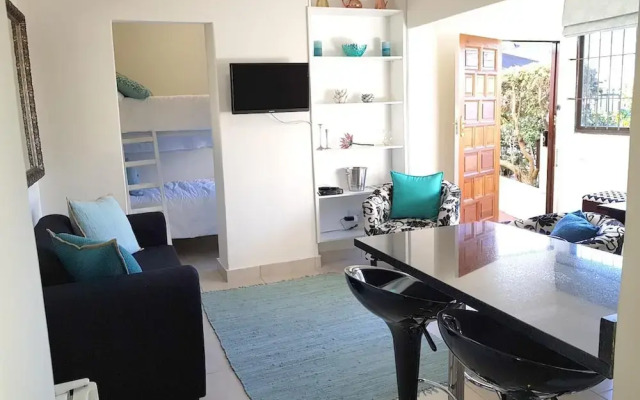 Amava Cavalcade
