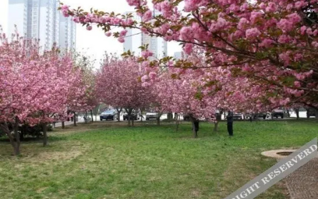 Xi'an Small Times Themed Homestay (Normal University Chang'an Campus Vanke City)