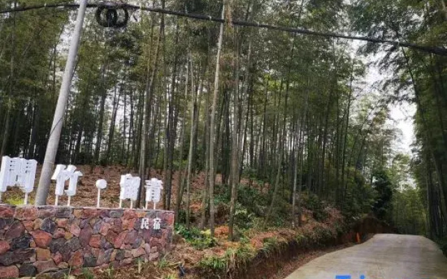 Southern Sichuan Bamboo Sea Wenzhu·Liuqing Homestay