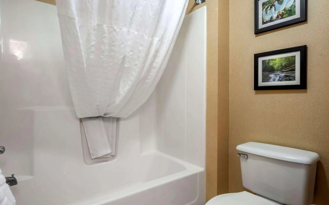 Comfort Inn Meadowlands