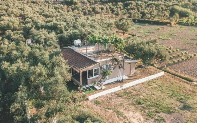 The Mills House