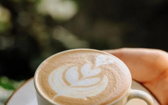 Bonding Coffee Roaster Café & Hotel