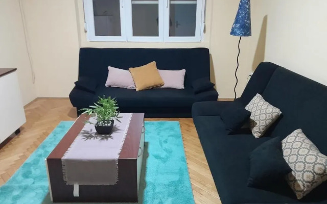 Cozzy and Centrally Located Apartment Vracar
