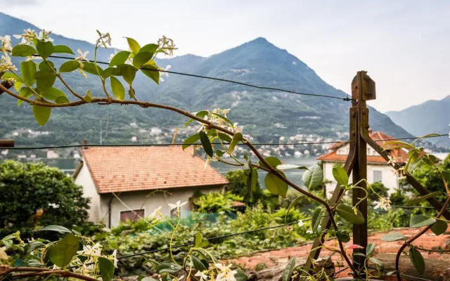 Vecchio Borgo