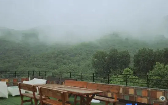 Wild Garden