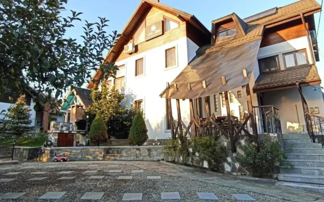 Vila Slanic