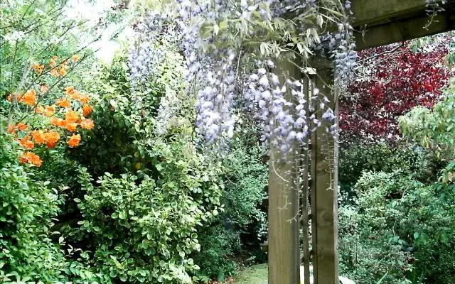 Holly House
