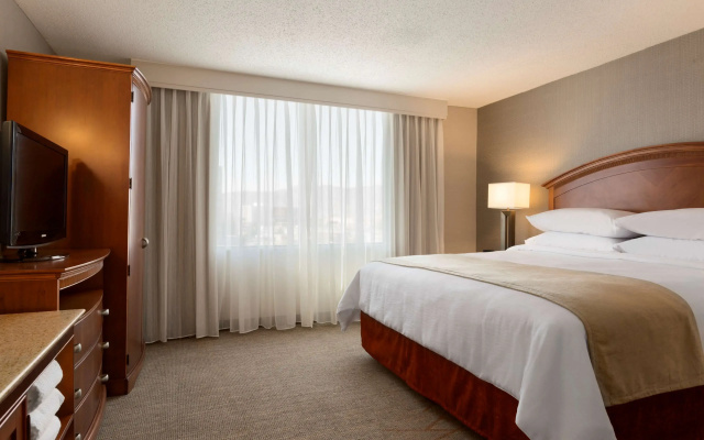 Embassy Suites by Hilton El Paso