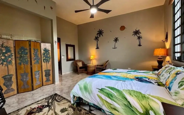 Vieques BioBay Bed and Breakfast