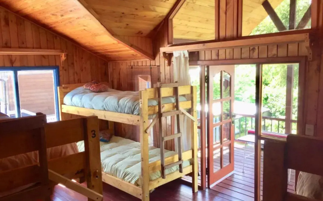 Hostel Raíz