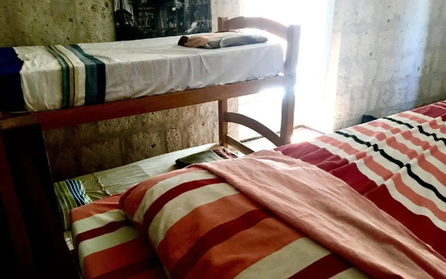 Lion AQP hostel