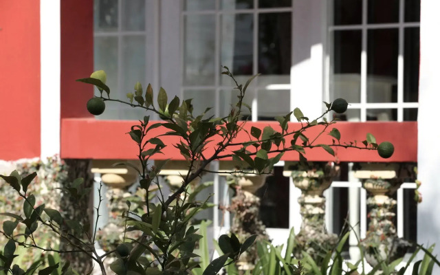 Sol House Dalat Homestay