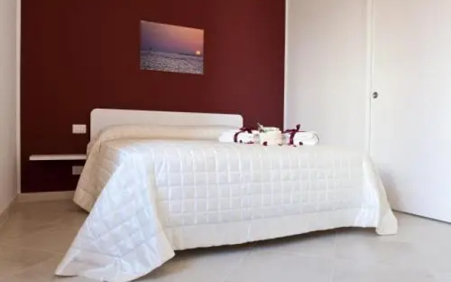 B&B Petali