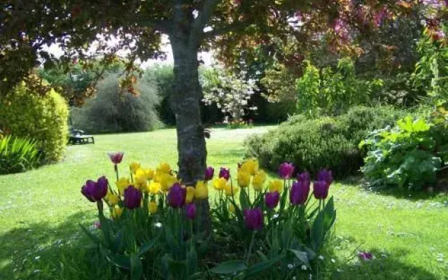 Evergreen Malahide B&B
