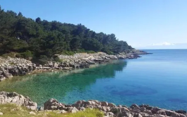 Ruzica 2