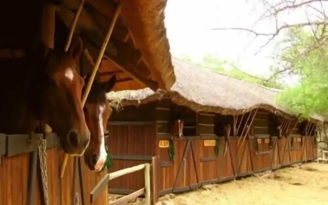 Offbeat Safaris