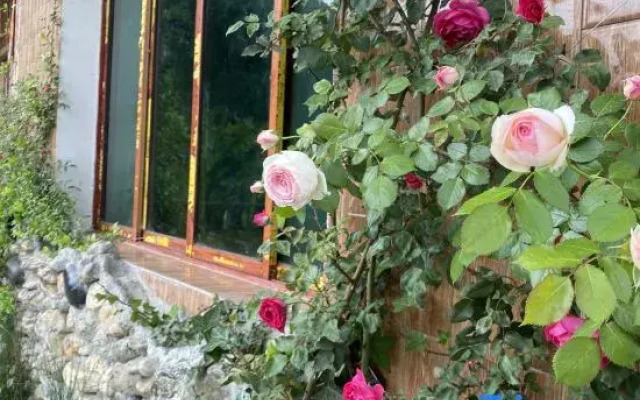 Yueziju Homestay