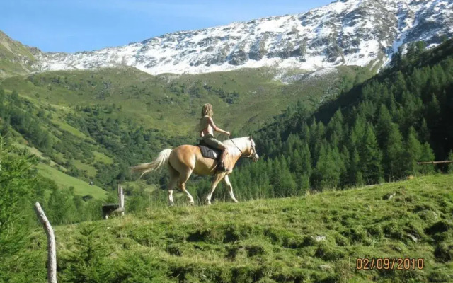 Maxerhütte auf der Alfenalm