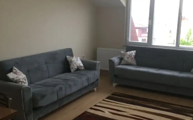 Act Home's