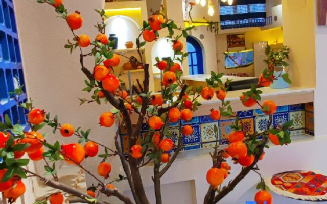Kashgar  Adenium obesum B&B