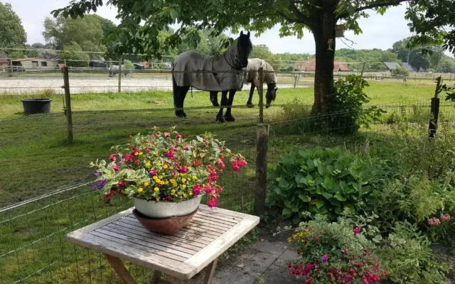 Vakantiehuis "Aan de Zandweg"