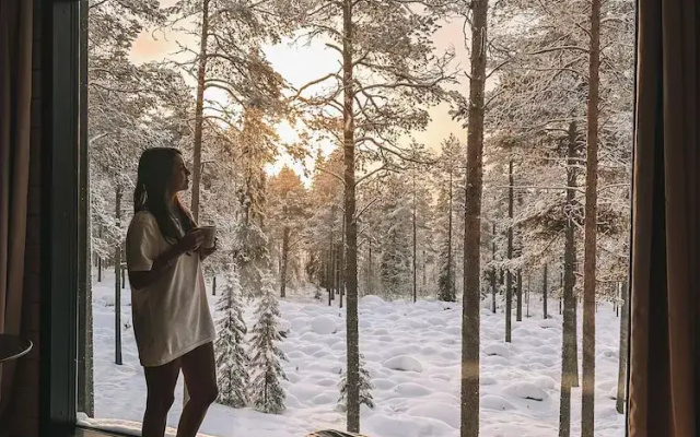 Invisible Forest Lodge