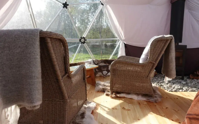Wild Caribou Dome