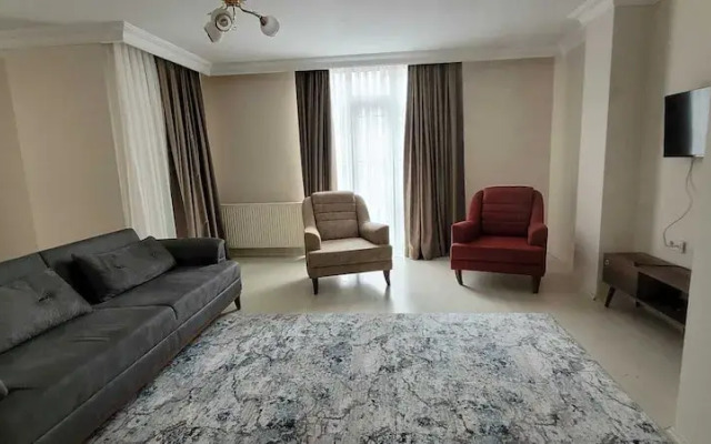 aronya istanbul