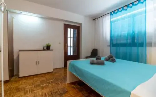 Apartment Viki