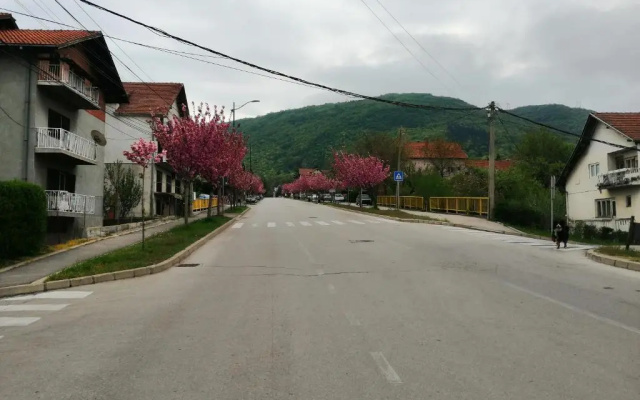 Pansion Velickovic