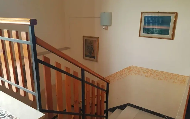 B&B Momo