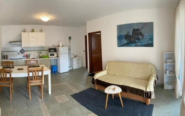 Apartment Neti