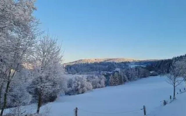 Bizoní dvůr