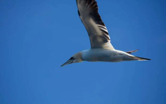 The Tide - Hotel