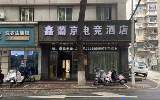 PuJing Theme Hotel