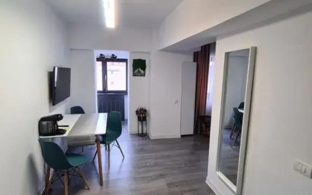 Central Apartment