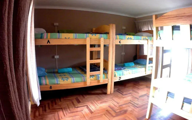 Baum Hostel