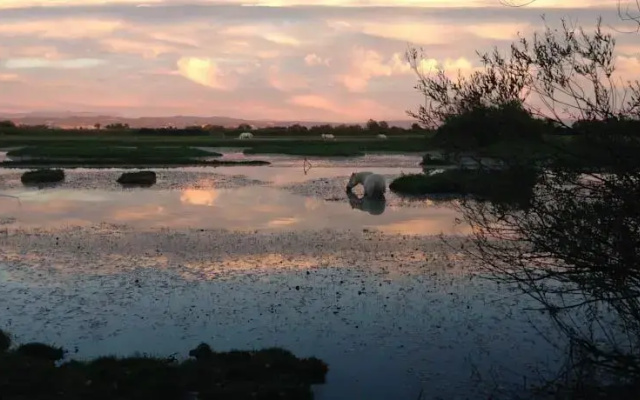 Riserva Naturale Foce dellIsonzo