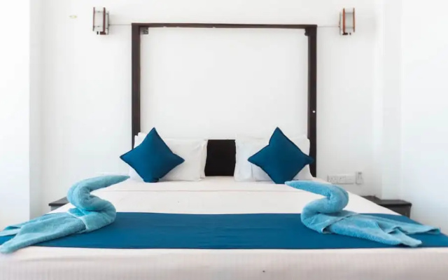 Cozy Cocos
