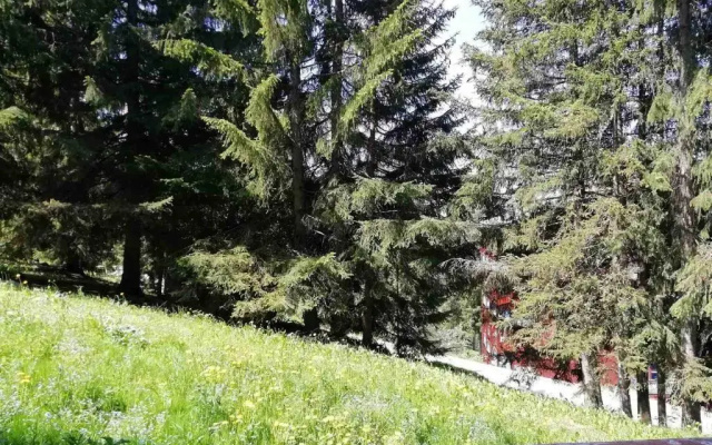 Appartement Les Arcs 1800, 1 pièce, 5 personnes - FR-1-411-209