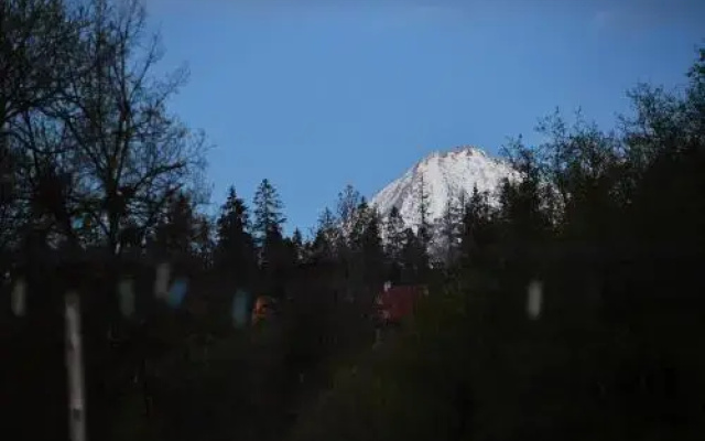 Chowańcówka