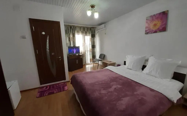 Vila Albatros