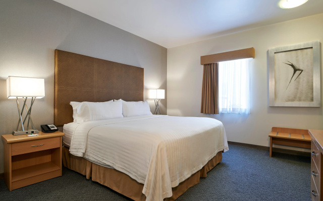 Holiday Inn & Suites Chihuahua Expo