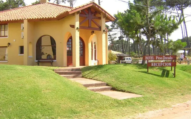 Pino Dorado