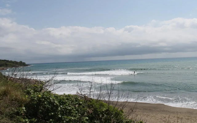 Afei Surf Inn Hall 4 - NANU