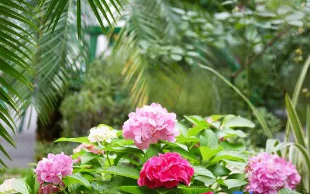 Zigong Wireless Garden Homestay (Fantawild Dino Kingdom)
